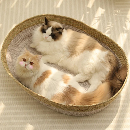 Panier en Rotin Luxueux pour Chat